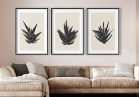 Minimalistische Illustration einer Aloe vera in Schwarz