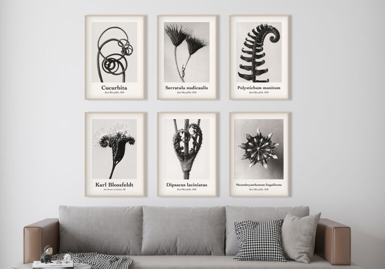 Kollektion botanischer Fotokunst