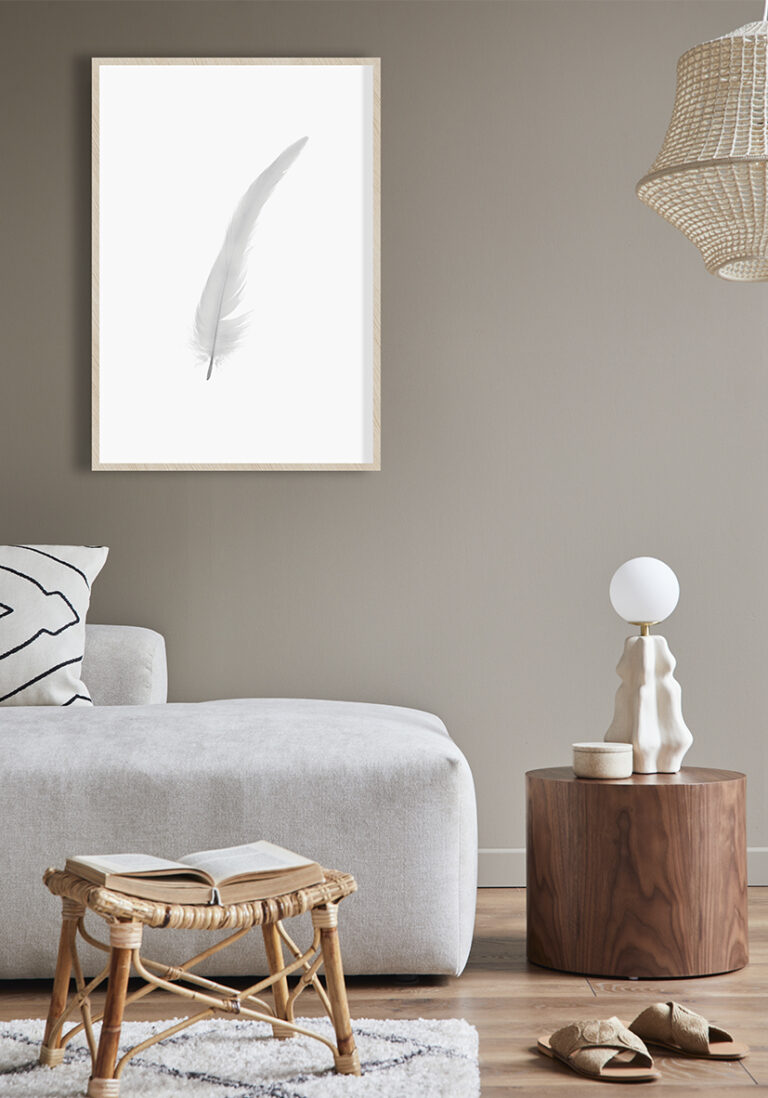 Elegante weiße Feder auf minimalistischem weißem Hintergrund.