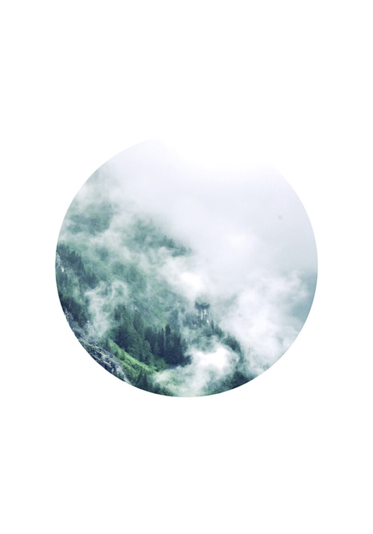 Nebliger Wald in einem minimalistischen Kreisdesign.