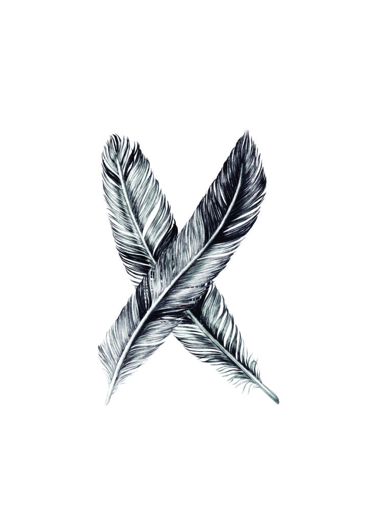 PLUMAS X