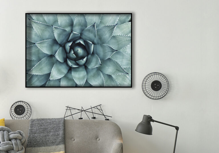 Abstrakte Kunst: Nahaufnahme einer Agave.