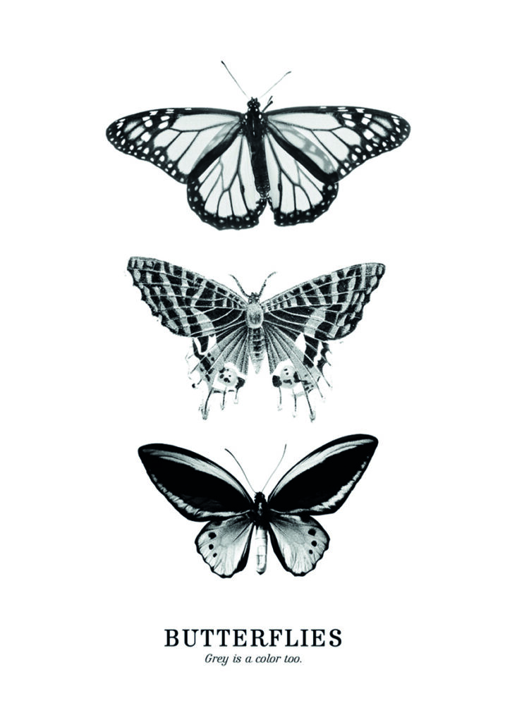 MARIPOSAS