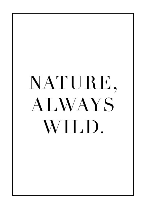 Minimalistisches Zitat in stilisierter Typografie.