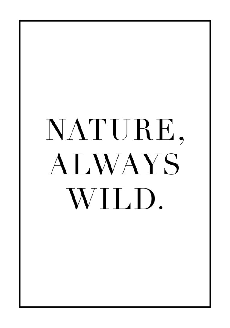 Minimalistisches Zitat in stilisierter Typografie.