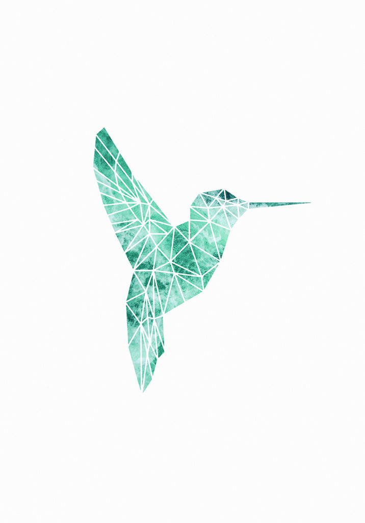 COLIBRI MAR
