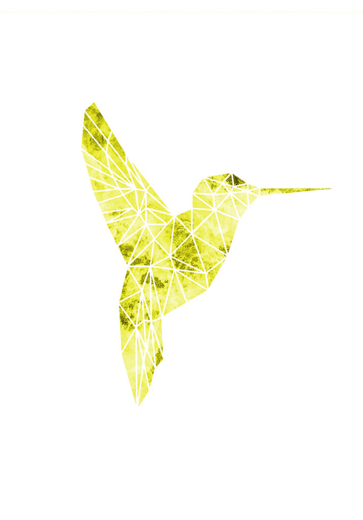 COLIBRI AMARILLO