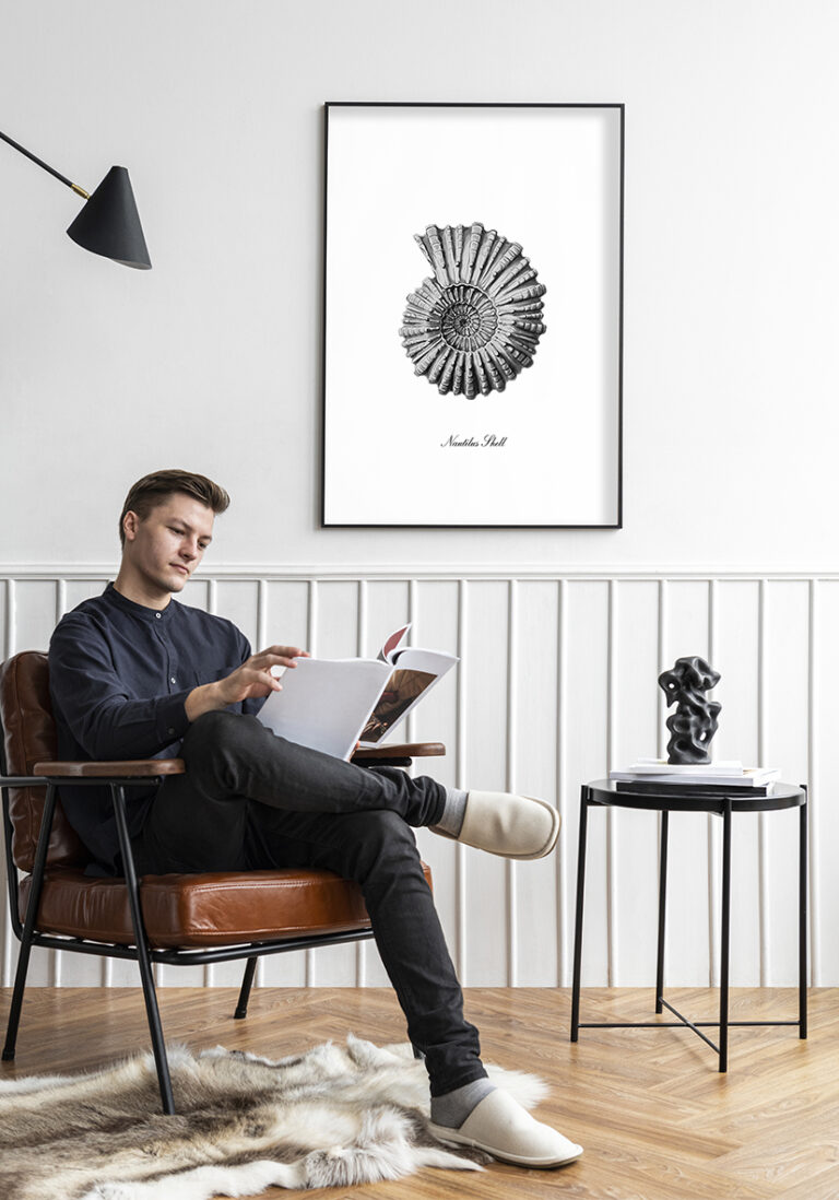 Monochrome Illustration einer Nautilusschale