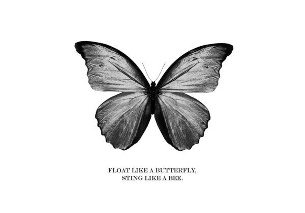 Künstlerischer Schmetterling in Schwarz-Weiß
