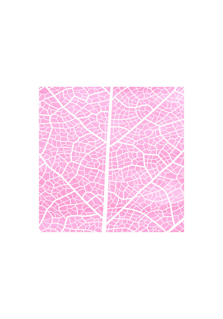 TEXTURE PINK