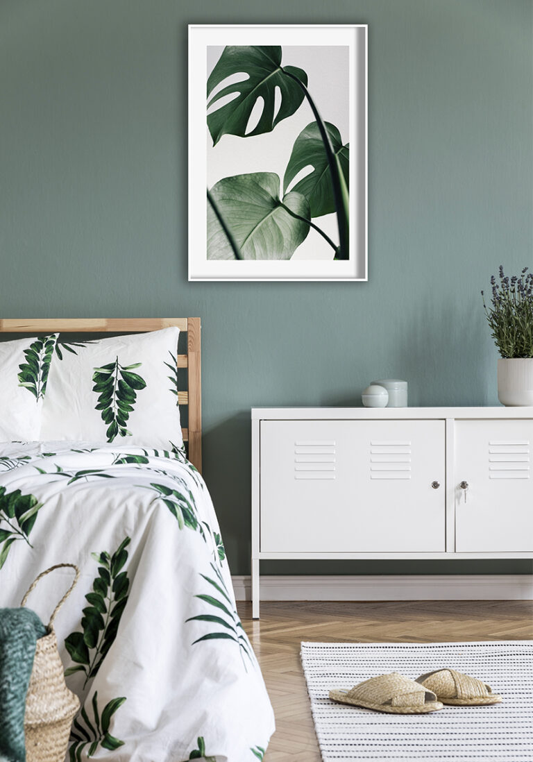 Monstera-Blätter vor minimalistischem Hintergrund