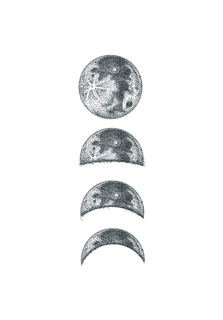 FASES LUNA