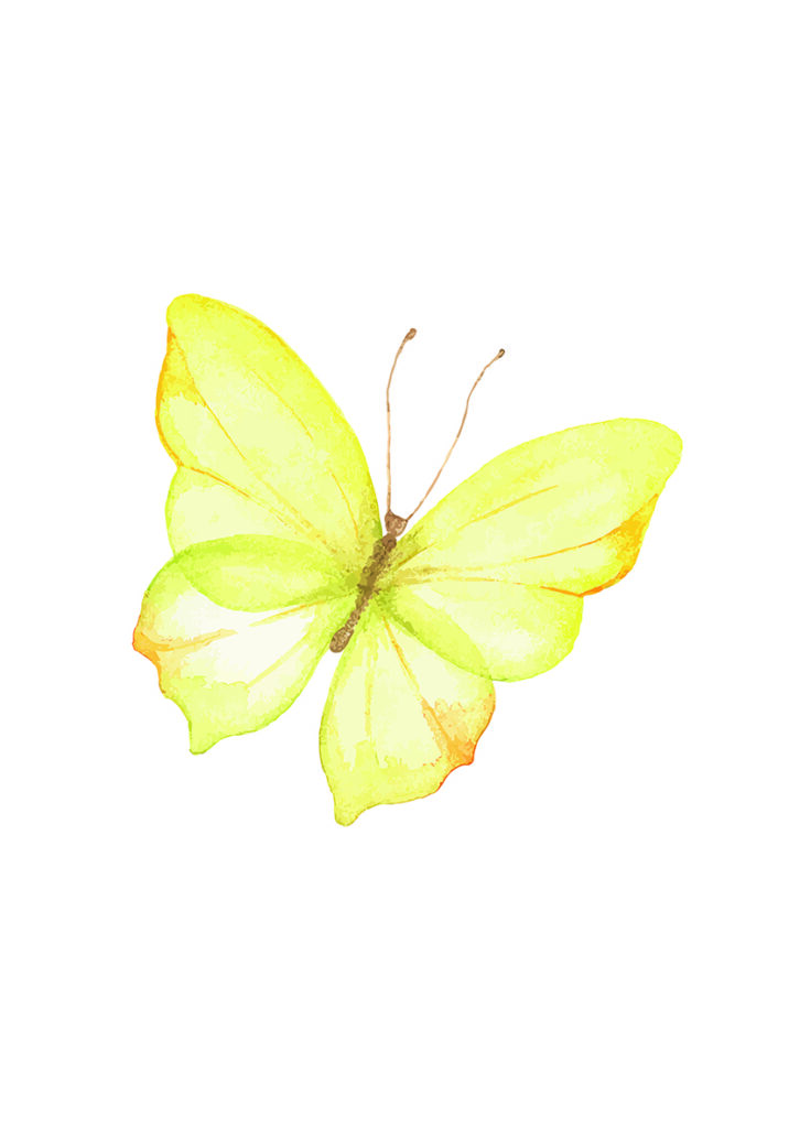 MARIPOSA 4