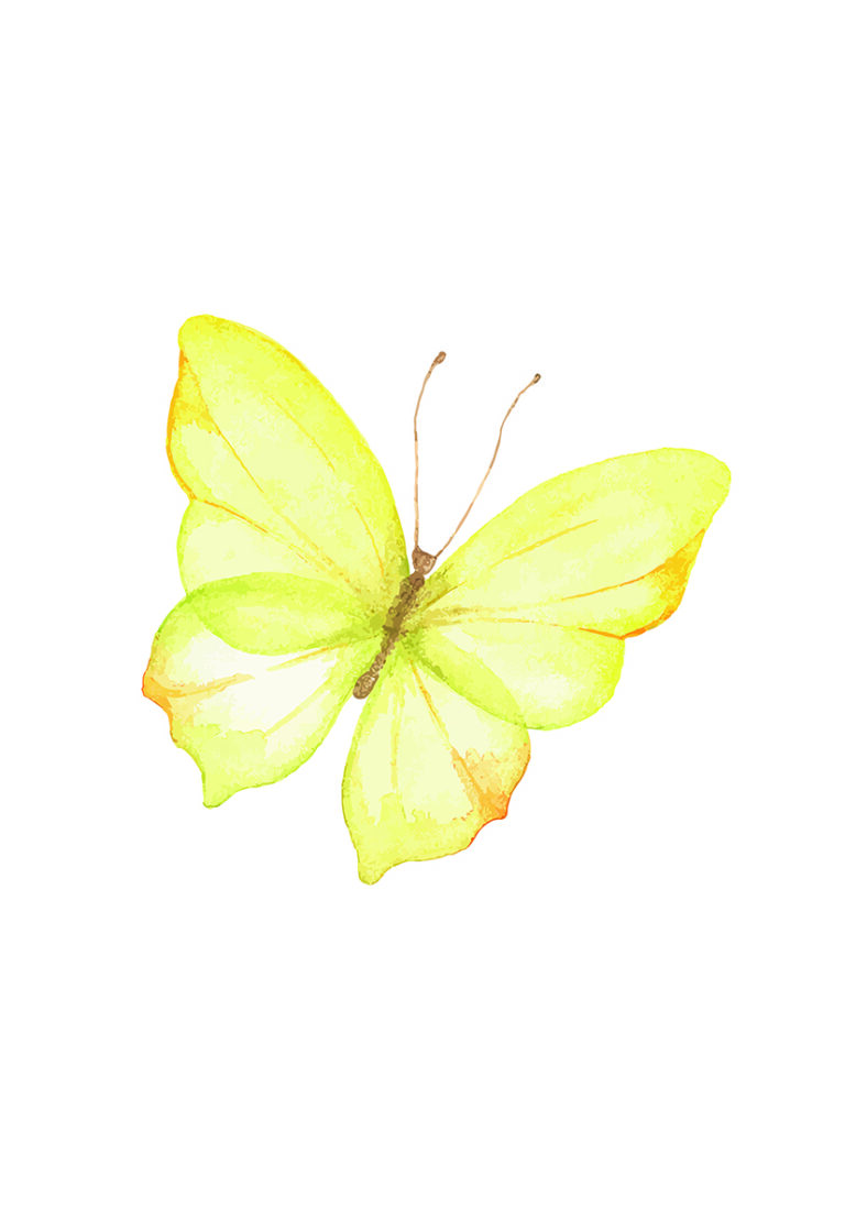 Gelber Schmetterling in Aquarell