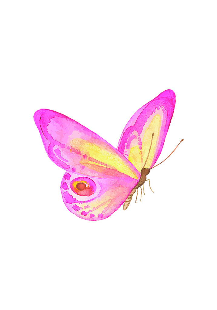 MARIPOSA5