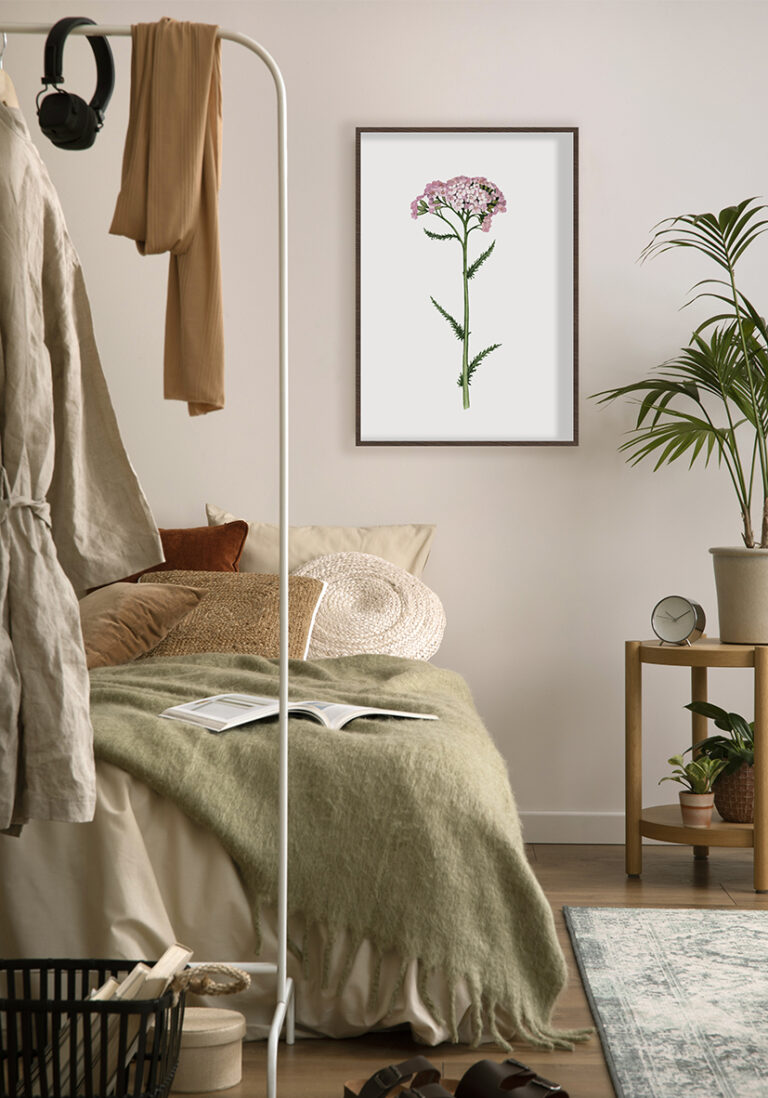 Botanische Illustration einer eleganten rosa Blüte