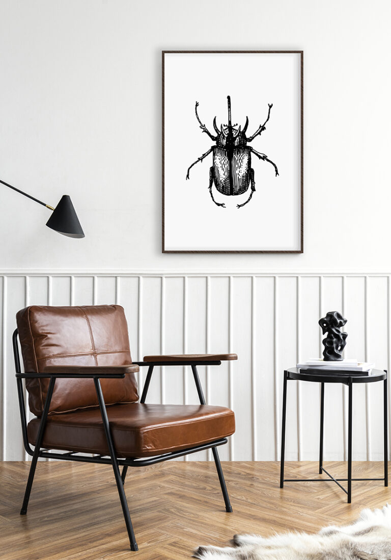 Detaillierte entomologische Illustration eines Käfers