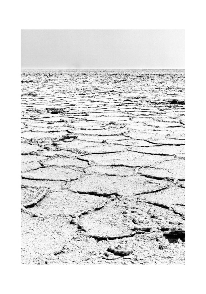 CORTEZA DESERT