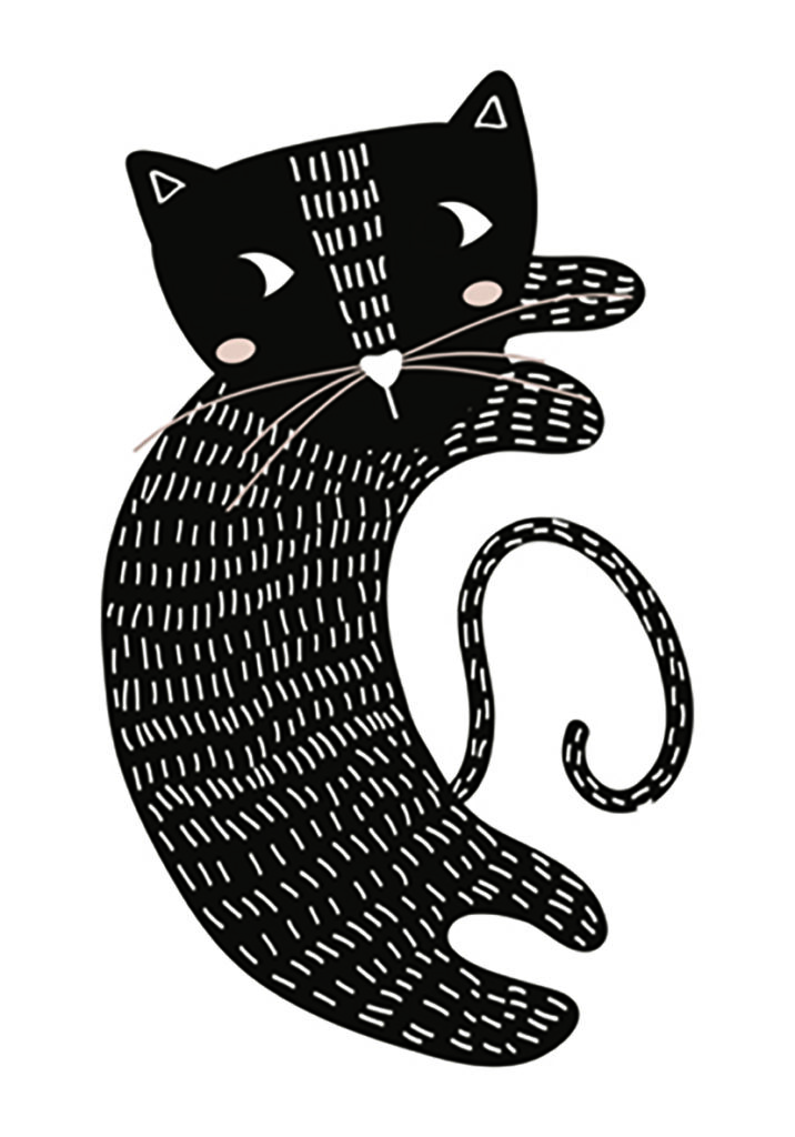 CAT 1
