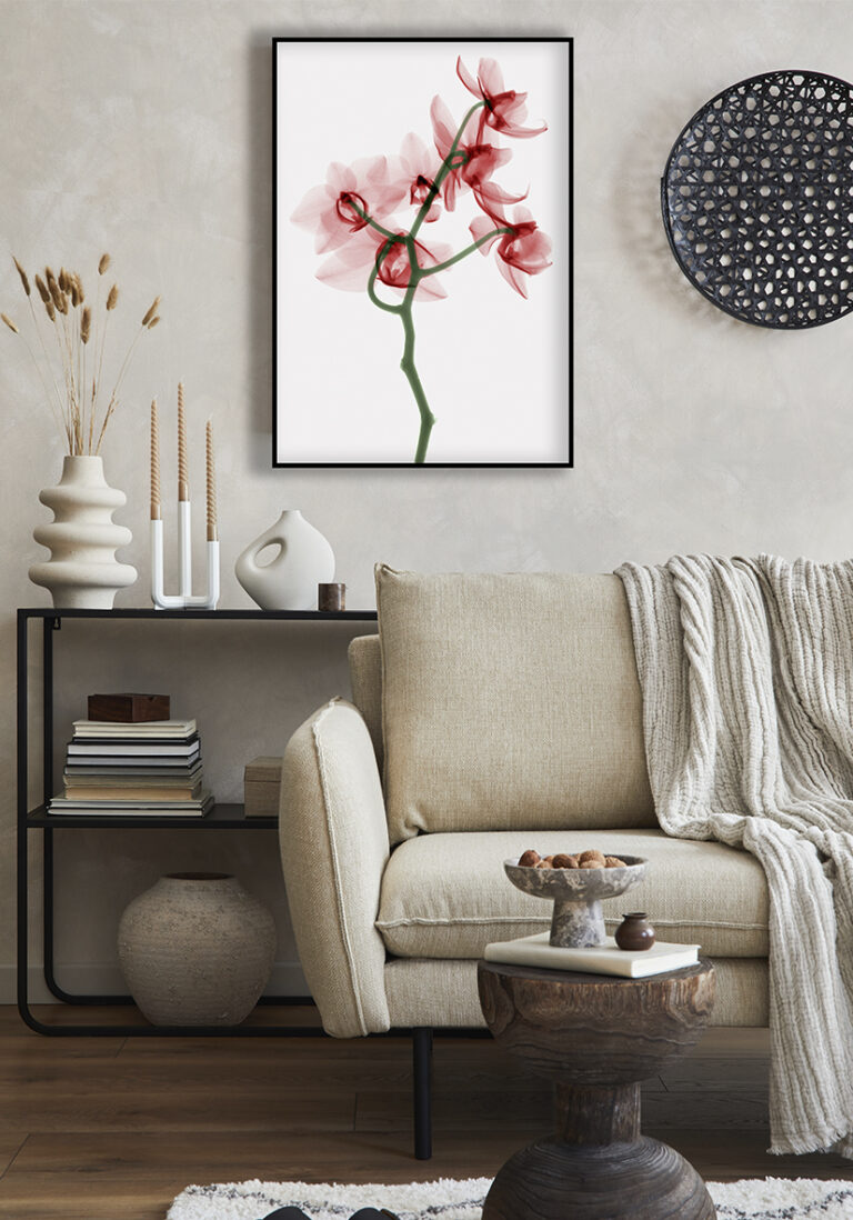 Orchidee im Röntgenstil