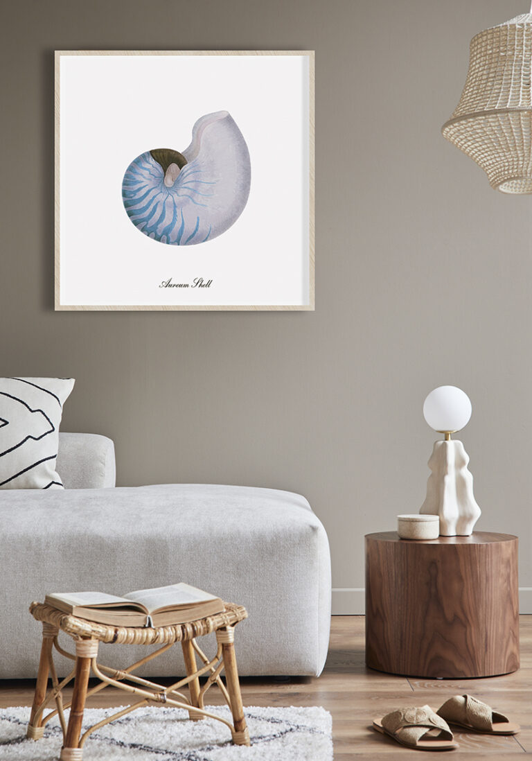 Muschelmotiv nach dem Vorbild des Nautilus