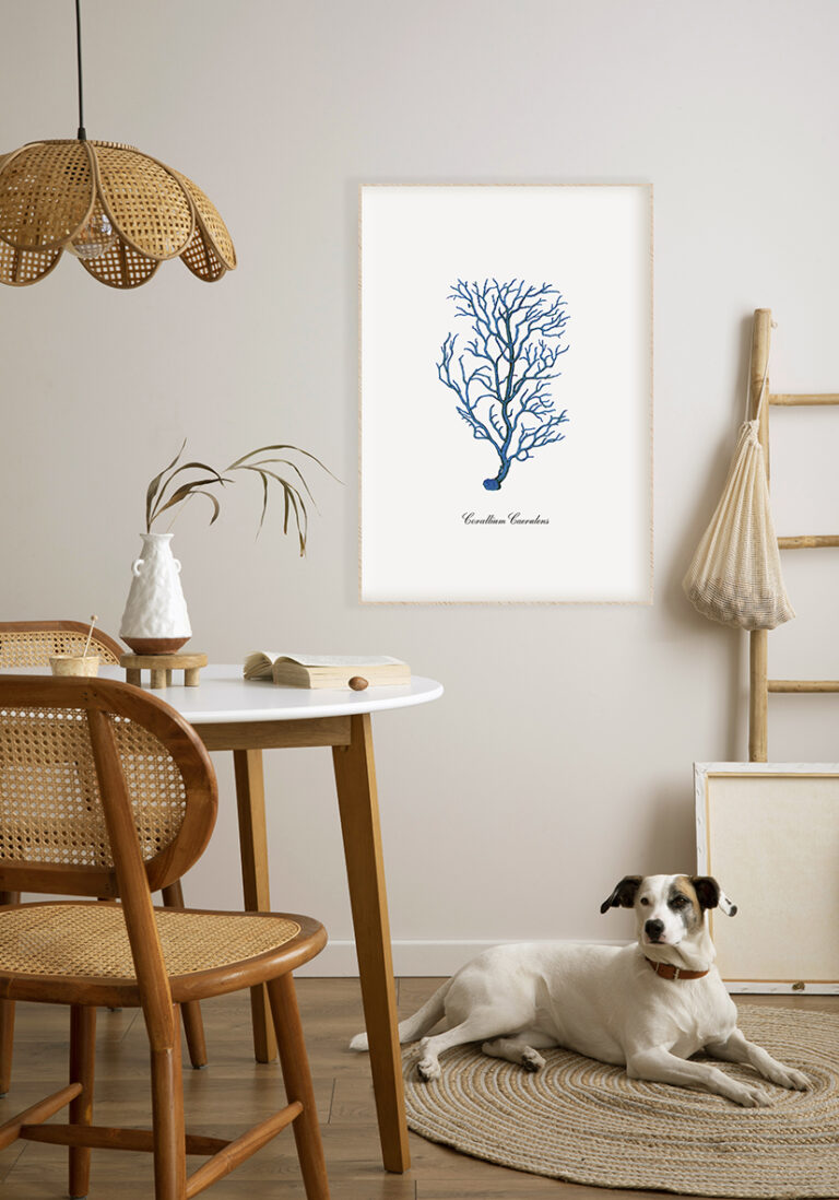 Botanische Illustration einer blauen Koralle