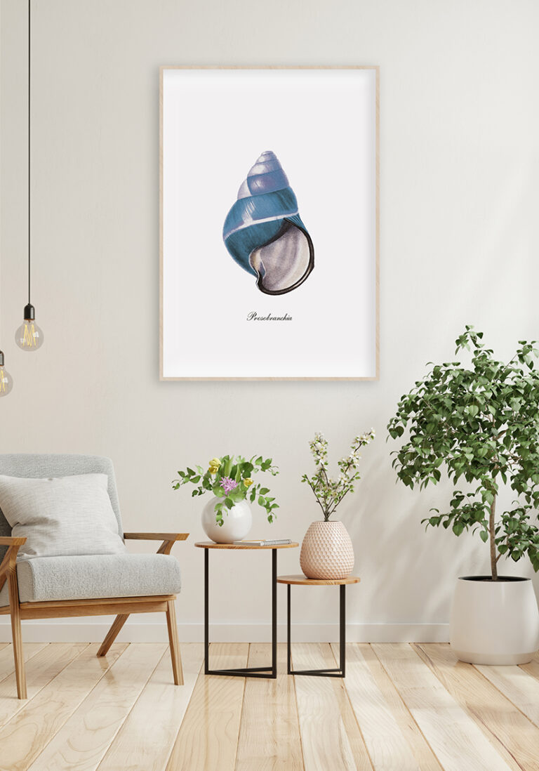 Elegantes Kunstwerk mit Meeresmuschel