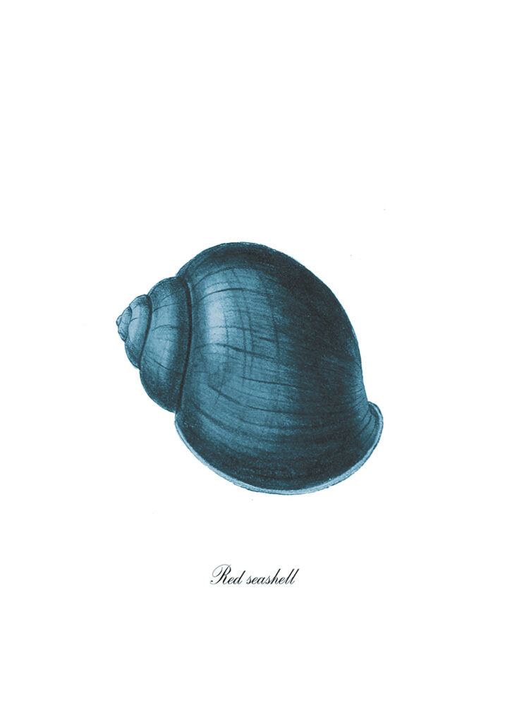 CORAL B5