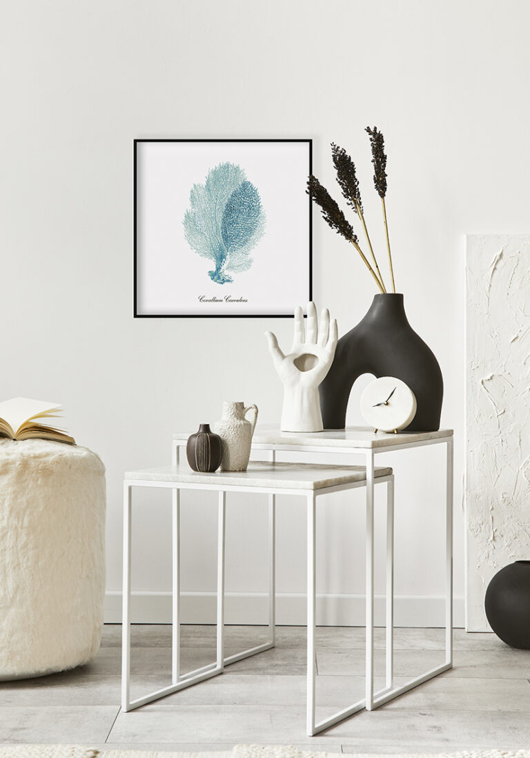 Filigrane Illustration einer blauen Koralle