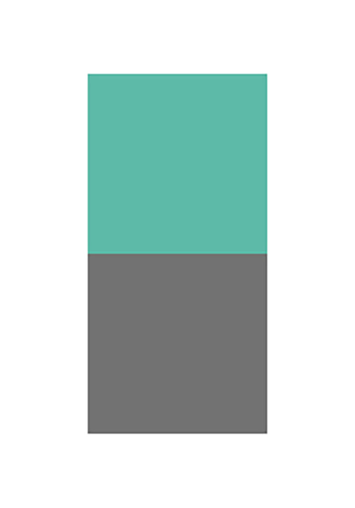 RECT MINT