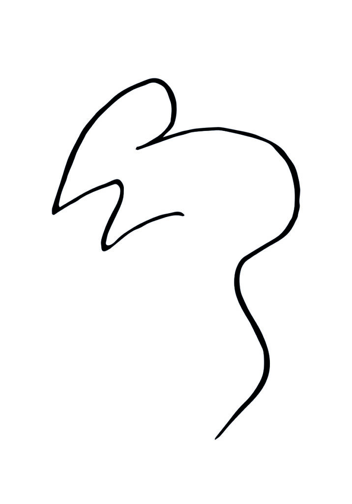 PICASSO 1