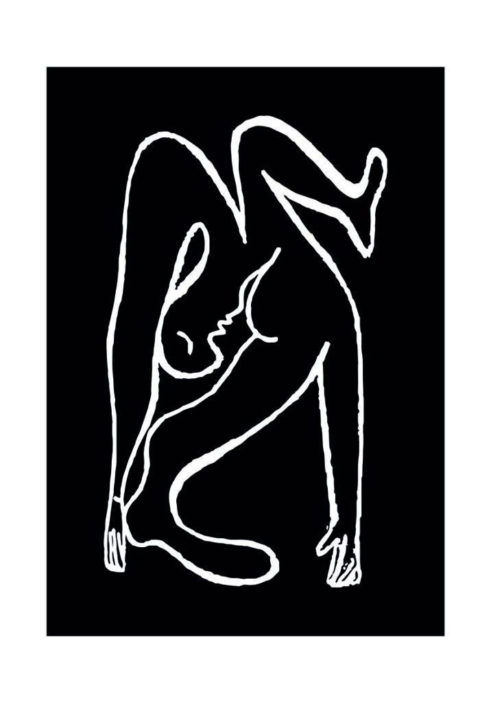 PICASSO 2