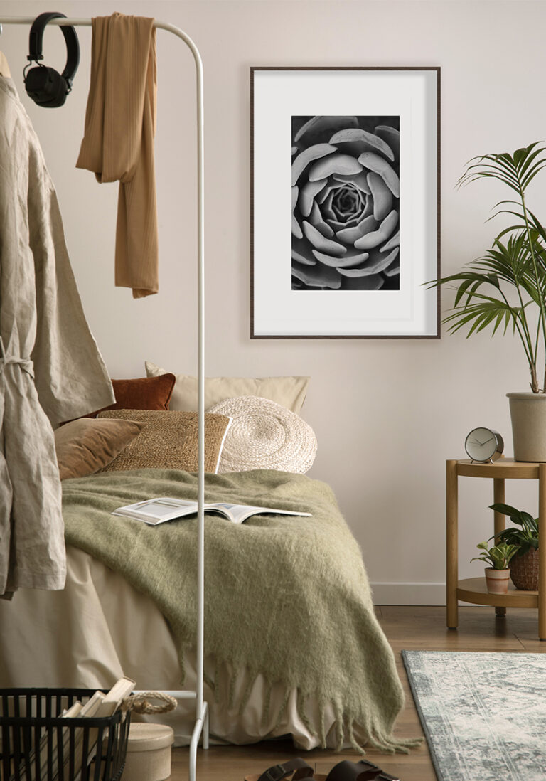 Monochrome Nahaufnahme einer spiralförmigen Sukkulente