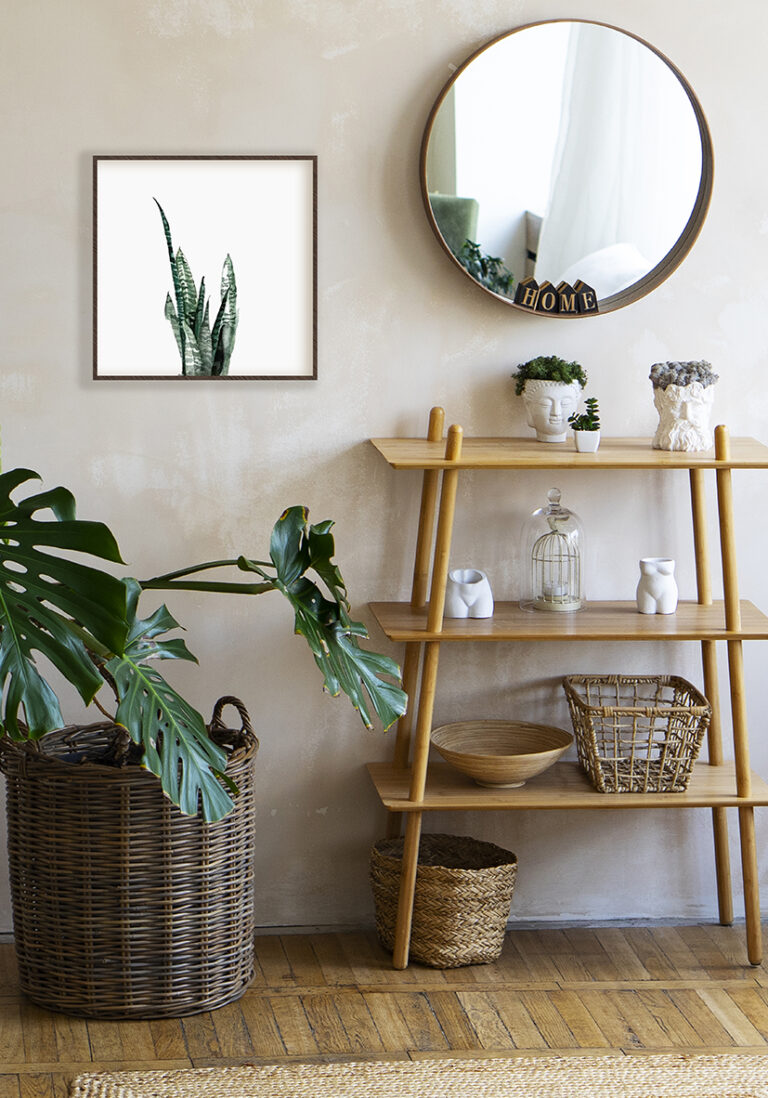 Sansevieria-Motiv in Grüntönen