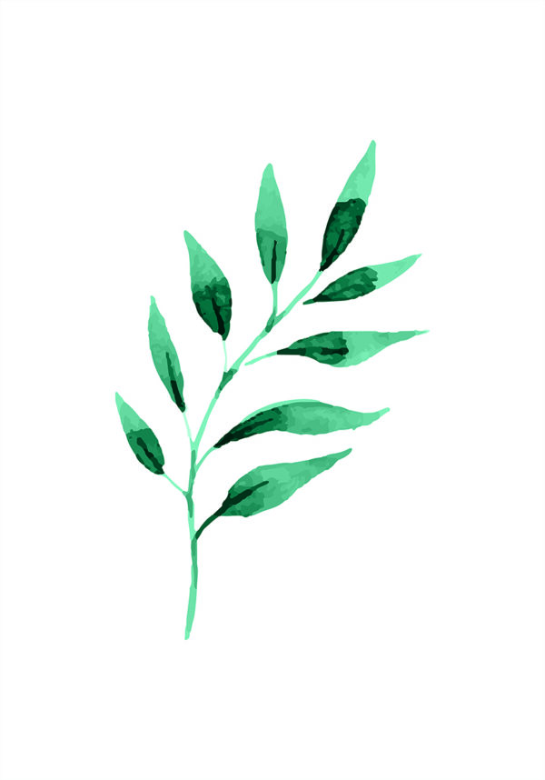 Minimalistisches grünes Blatt in Aquarell