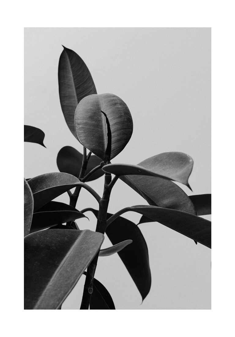 Monochromes, minimalistisches botanisches Werk
