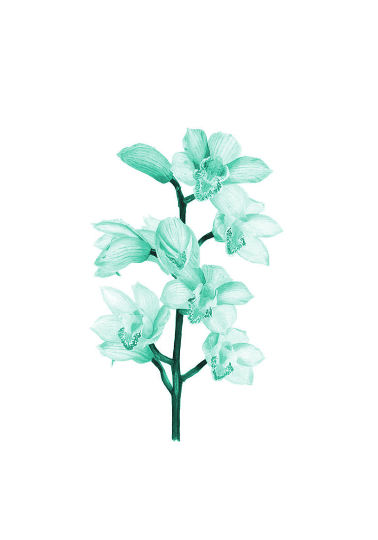 Künstlerische Illustration einer blauen Orchidee