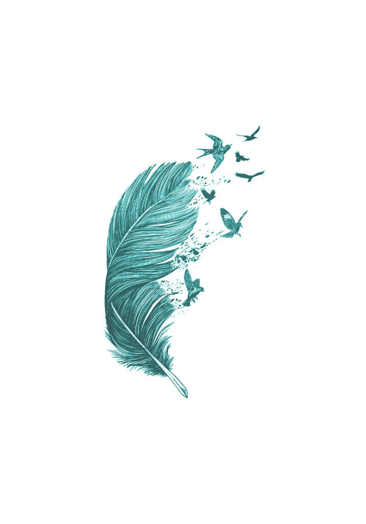 PLUMA FINE