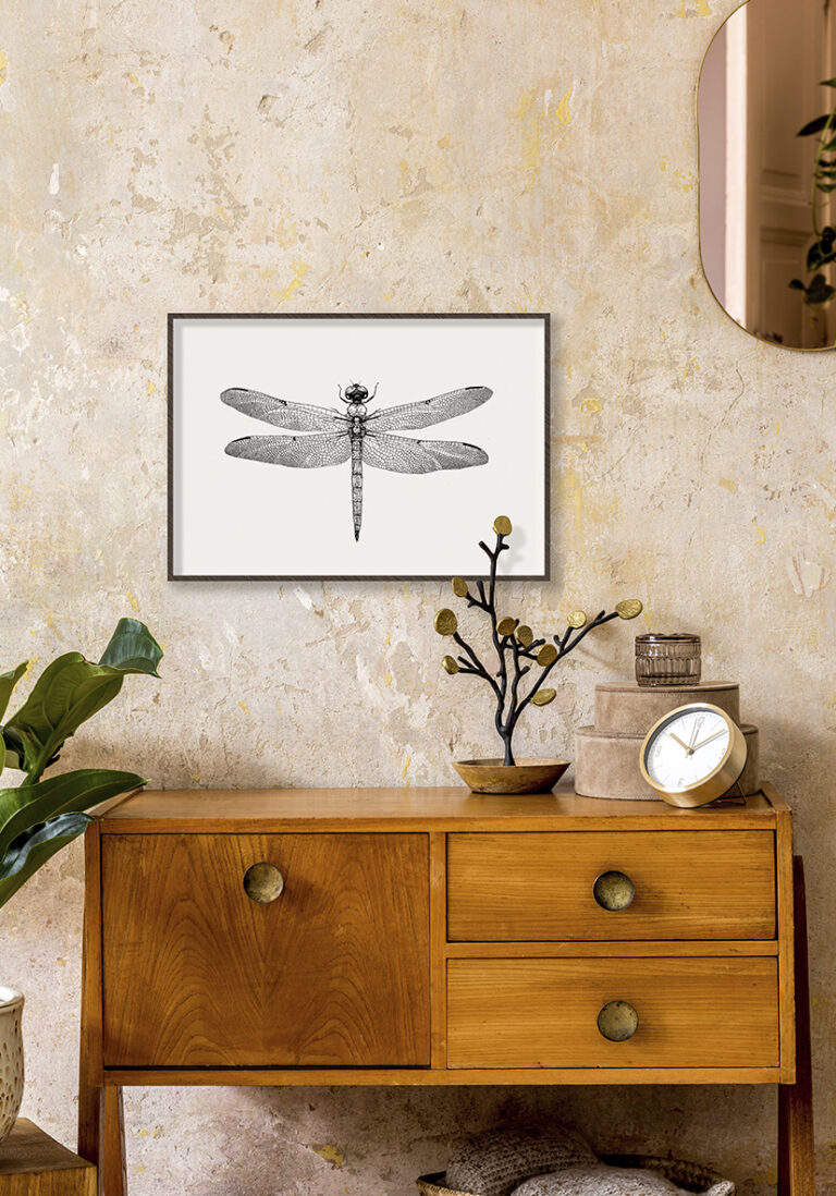 Detailreiche Illustration einer Libelle