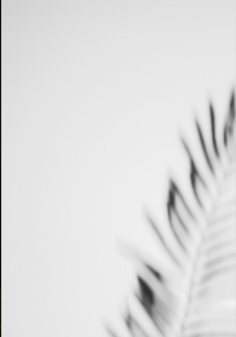 Minimalistisches abstraktes Naturfoto