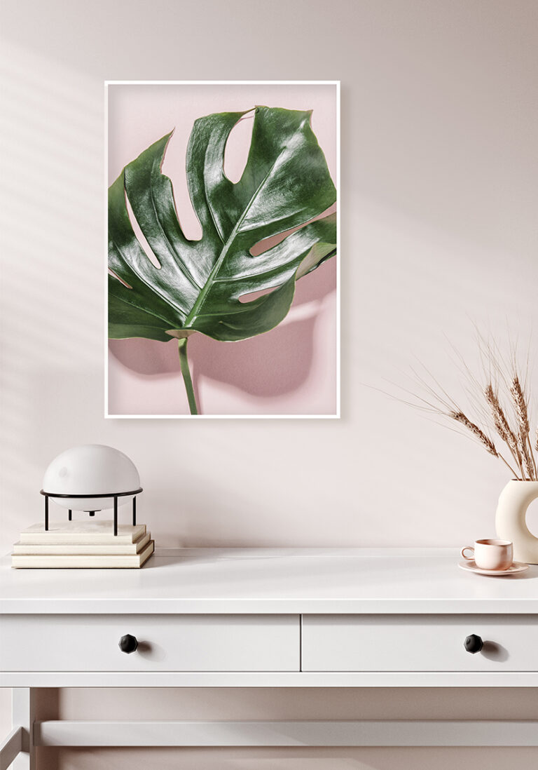 Monstera-Blatt auf minimalistischem rosa Hintergrund