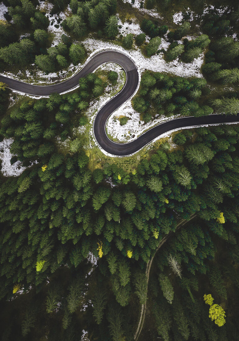 Gewundener Weg durch grünen Wald