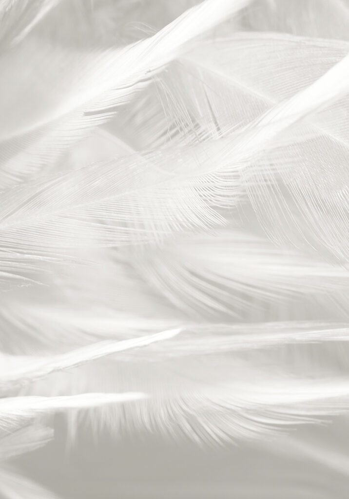 TEXTURE SUNDAY
