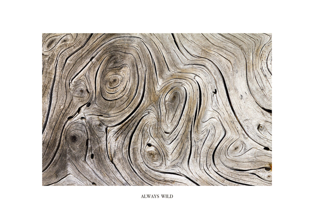 MADERA