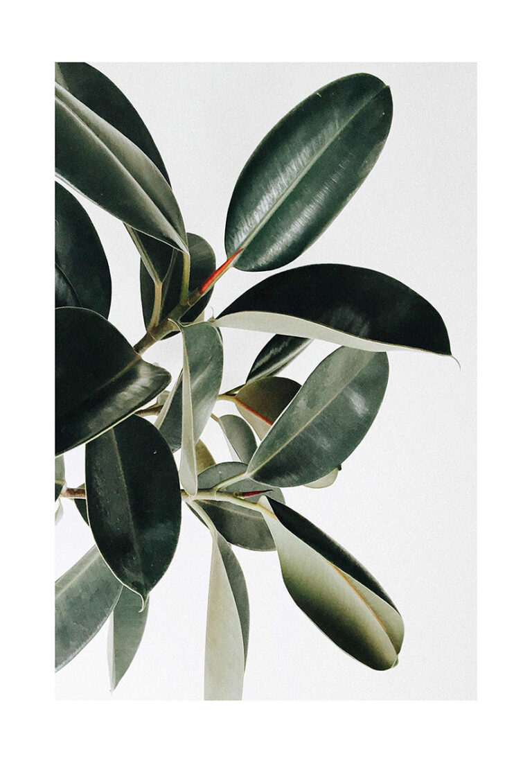 Minimalistischer botanischer Druck im eleganten Stil