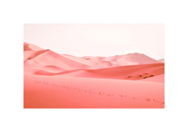 Wüstenlandschaft mit Sanddünen