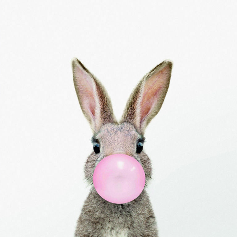 Hase bläst einen rosa Ballon