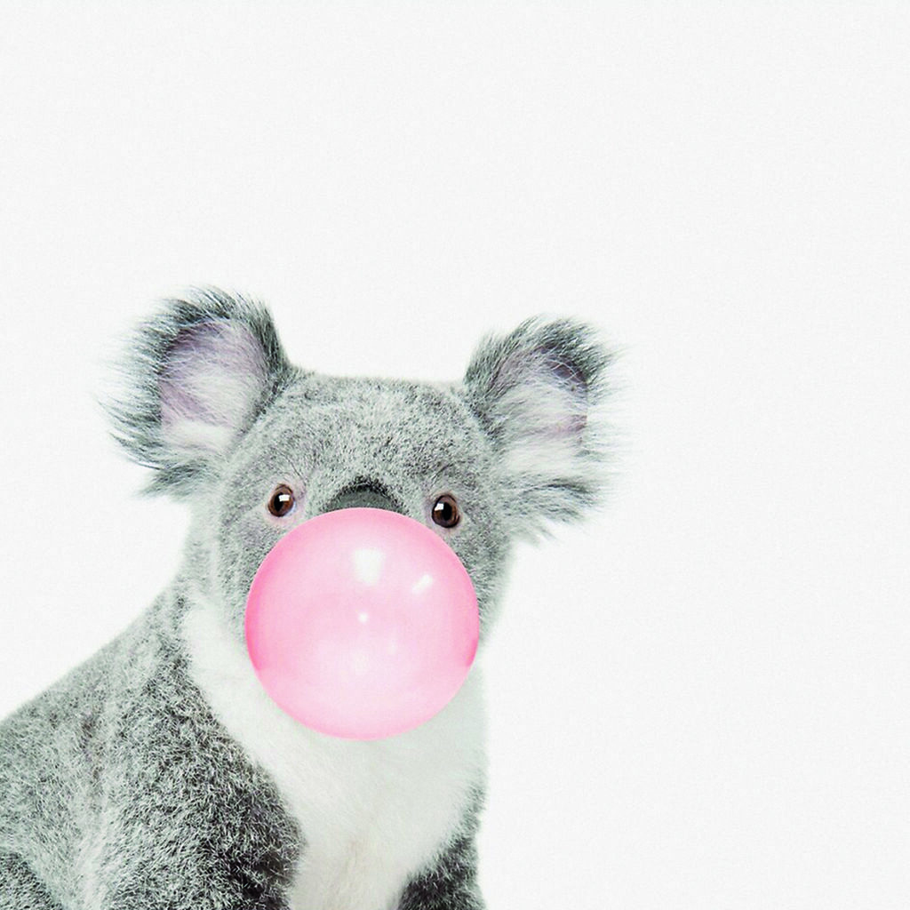 KOALA PUMP