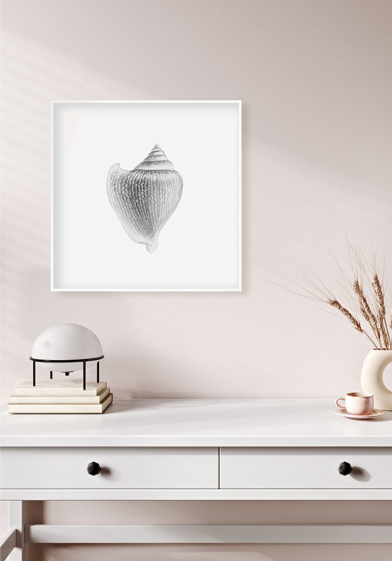 Minimalistische Muschelkunst in Schwarz-Weiß