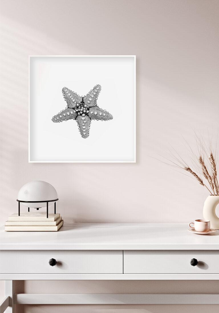 Detaillierte Illustration eines Seesterns